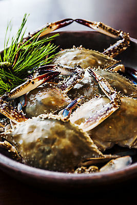 포토 JPG 그릇 실내 근접촬영 사람없음 꽃게 전라남도 해산물 간장게장 목포 국내포토 식기 뷰포인트 내부 게 전라도 게장 파일형식