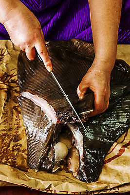 포토 JPG 손 실내 들기 신체부위 잡기 칼 자르기 전라남도 재료손질 해산물 목포 홍어 국내포토 모션 어류 사람 내부 전라도 손질 파일형식