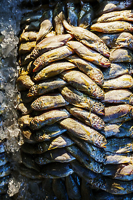 포토 JPG 주간 사람없음 야외 하이앵글 쌓기 전라남도 목포 조기_생선 국내포토 자연요소 뷰포인트 모션 어류 전라도 파일형식