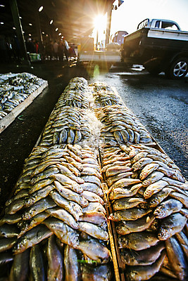 포토 JPG 주간 사람없음 야외 햇빛 쌓기 항구 전시 전라남도 목포 조기_생선 국내포토 자연요소 교통시설 모션 어류 태양 전라도 파일형식