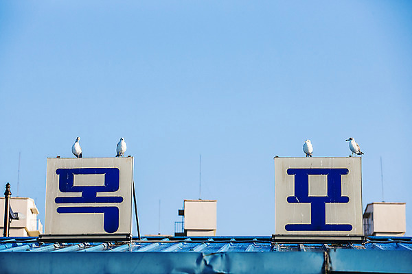 포토 JPG 주간 여러마리 갈매기 하늘 사람없음 야외 전라남도 목포 국내포토 자연요소 다수 조류 전라도 파일형식