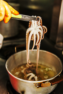 포토 JPG 손 실내 집게 요리 들기 아웃포커스 신체부위 냄비 전라남도 해산물 목포 세발낙지 국내포토 모션 촬영기법 사람 내부 솥 전라도 낙지 파일형식