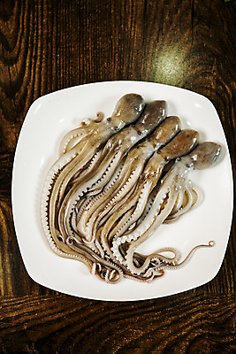 포토 JPG 접시 실내 사람없음 하이앵글 전라남도 해산물 목포 세발낙지 나무배경 국내포토 식기 뷰포인트 백그라운드 내부 전라도 낙지 파일형식