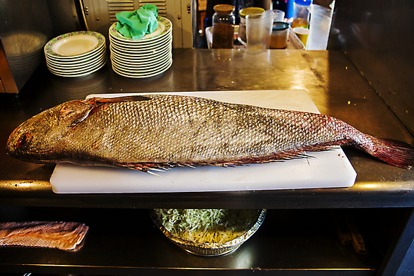 포토 JPG 접시 도마 실내 어류 사람없음 전라남도 목포 민어 국내포토 식기 주방용품 내부 수중동물 전라도 파일형식
