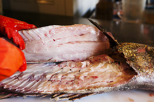 포토 JPG 손 도마 실내 어류 아웃포커스 신체부위 회 잡기 자르기 전라남도 재료손질 해산물 특산물 식칼 손질 목포 민어 국내포토 음식 모션 주방용품 촬영기법 사람 내부 수중동물 전라도 파일형식