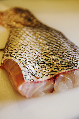 포토 JPG 도마 실내 어류 근접촬영 사람없음 아웃포커스 전라남도 해산물 특산물 목포 민어 민어회 국내포토 뷰포인트 주방용품 촬영기법 내부 수중동물 회 전라도 파일형식