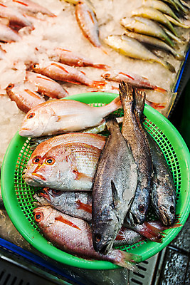 포토 JPG 식재료 실내 어류 사람없음 소쿠리 전시 해산물 담기 도미 수산시장 부산 우럭 국내포토 모션 한국 내부 바구니 수중동물 시장 파일형식