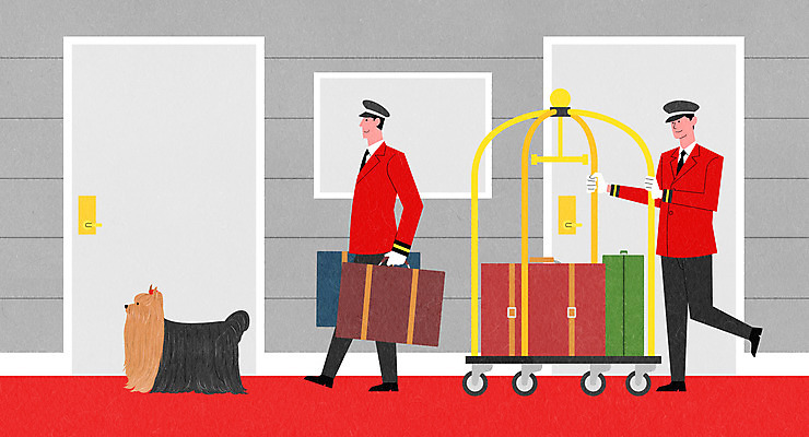 전신 PSD 한마리 남자 반려견 이동 일러스트 들기 성인 두명 문 걷기 여행가방 카트 복도 개 강아지 요크셔테리어 반려 벨보이 성인남자만 애완호텔 국내일러스트 1 컨셉 가방 포유류 모션 호텔 사람 반려동물 테리어 남자만 성인만 파일형식