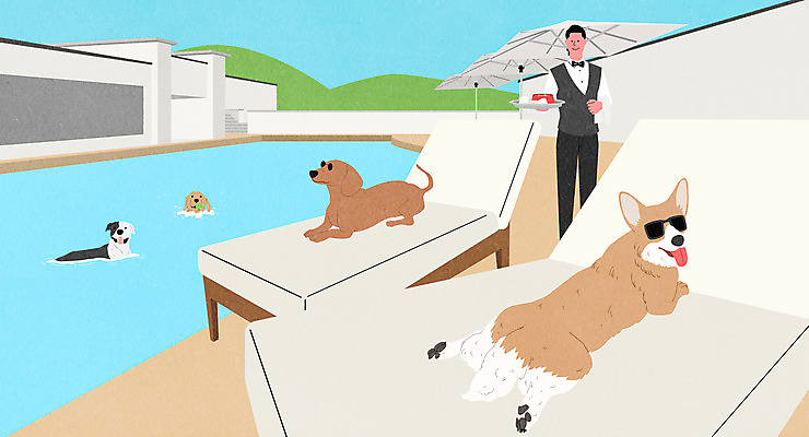 전신 PSD 남자 반려견 여러마리 일러스트 야외수영장 한명 들기 상반신 성인 선글라스 수영 개 강아지 닥스훈트 선베드 호텔리어 반려 웰시코기 성인남자한명만 애완호텔 국내일러스트 직업 1 안경 다수 의자 포유류 모션 호텔 수영장 사람 반려동물 수상스포츠 남자한명만 성인남자만 파일형식