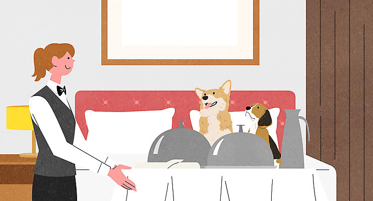 PSD 여자 반려견 액자 두마리 일러스트 탁자 호텔 한명 상반신 성인 침실 방 뚜껑 침대 잡기 개 강아지 호텔리어 룸서비스 반려 성인여자한명만 애완호텔 국내일러스트 직업 1 가구 2 포유류 모션 숙소 사람 반려동물 서비스 여자한명만 성인여자만 파일형식