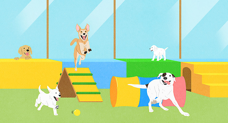 PSD 반려견 여러마리 일러스트 창문 사람없음 반려동물 달리기 계단 점프 놀이방 개 강아지 즐거움 놀기 반려 애완호텔 국내일러스트 동물 감정 다수 포유류 모션 호텔 파일형식