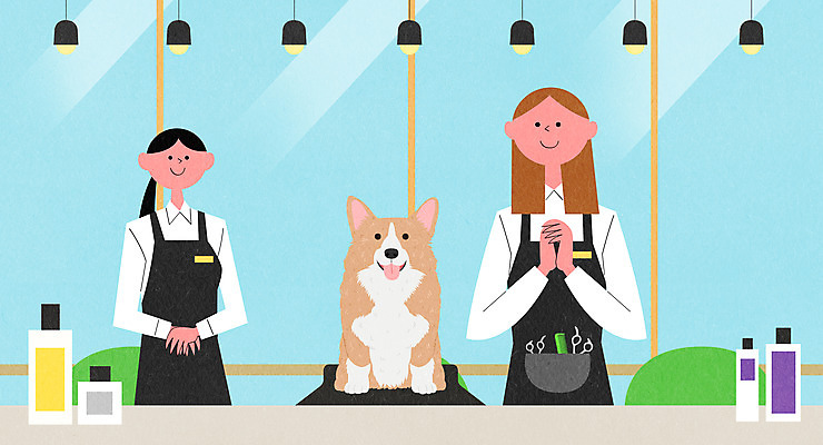 PSD 한마리 여자 반려견 일러스트 창문 조명 상반신 성인 두명 개 강아지 미용실 반려 손맞잡기 애견미용 애견미용사 성인여자만 애완호텔 국내일러스트 1 포유류 호텔 사람 반려동물 뷰티 손잡기 뷰티샵 미용사 여자만 성인만 파일형식