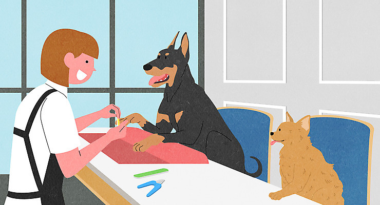 PSD 여자 반려견 두마리 의자 일러스트 창문 호텔 한명 들기 상반신 성인 개 강아지 직원 네일샵 반려 발톱 애견미용 애견미용사 성인여자한명만 애완호텔 국내일러스트 1 가구 2 포유류 모션 발 숙소 사람 반려동물 뷰티 상점 미용사 여자한명만 성인여자만 파일형식