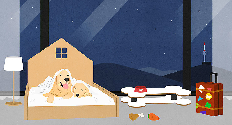 PSD 반려견 두마리 일러스트 창문 탁자 밤하늘 사람없음 장난감 캐리어 침실 이불 스탠드 잠 개 골든리트리버 강아지 덮기 밥그릇 강아지침대 반려 애완호텔 국내일러스트 그릇 가구 2 포유류 침구 모션 하늘 호텔 조명 반려동물 여행가방 침대 리트리버 야간 애견용품 파일형식
