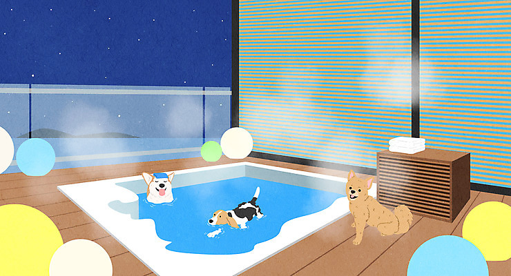 PSD 반려견 일러스트 밤하늘 조명 세마리 사람없음 수영 발코니 원형 개 강아지 수증기 반려 온수 애완호텔 애견스파 국내일러스트 도형 포유류 하늘 호텔 3 반려동물 스파 수상스포츠 야간 파일형식