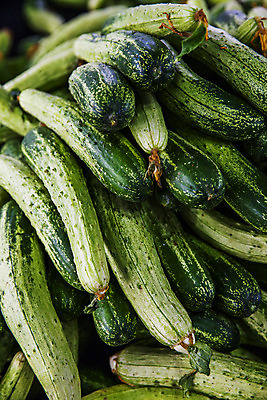 포토 JPG 주간 오이 사람없음 야외 충청남도 가득함 특산물 아산 국내포토 자연요소 채소 충청도 파일형식