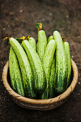 포토 JPG 주간 오이 사람없음 야외 아웃포커스 바구니 충청남도 담기 특산물 아산 국내포토 자연요소 채소 모션 촬영기법 충청도 파일형식