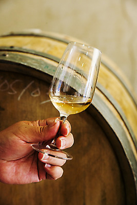 포토 JPG 주간 손 와인잔 들기 야외 아웃포커스 신체부위 사과 충청남도 오크통 사과와인 국내포토 예산군 자연요소 술잔 과일 모션 촬영기법 사람 와인 충청도 파일형식