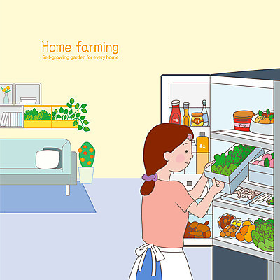 여자 화분 거실 채소 과일 일러스트 식재료 한명 들기 성인 소파 주부 냉장고 성인여자한명만 홈파밍 자급자족라이프 국내일러스트 AI파일 1 라이프스타일 의자 모션 사람 농사 가전제품 여자한명만 성인여자만 파일형식 벡터