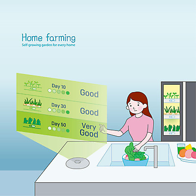 응시 여자 하늘색 채소 과일 일러스트 미래 요리 한명 상반신 성인 주방 스크린 가리킴 재료손질 싱크대 냉장고 홀로그램 성인여자한명만 스마트팜 홈파밍 자급자족라이프 국내일러스트 AI파일 1 라이프스타일 시선 컨셉 사람 손짓 파란색 농장 농사 가전제품 개수대 손질 여자한명만 성인여자만 파일형식 벡터