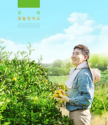 PSD 구름 편집이미지 남자 귤 작업복 한명 미소 들기 상반신 20대 성인 초록색 수건 한국인 농부 과수원 밀짚모자 귀농 성인남자한명만 청년농부 이미지편집 자연요소 직업 모자_잡화 1 옷 컬러 농업 과일 모션 표정 사람 동양인 청년 위생용품 남자한명만 성인남자만 파일형식