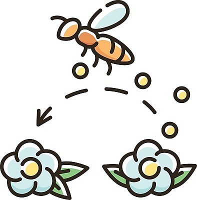 EPS 해외이미지 클립아트 식물 무료이미지 디자인 계절 꽃 선 곤충 컨셉 일러스트 자연 노동자 픽토그램 웹 들꽃 플랫 수분 만화 벌 수집 심볼 유기농 심플 윤곽 꽃가루 꿀 내추럴 고립 밀랍 방법 얇은 양봉 양봉장 엘리먼트 활자 해외202105 해외일러스트 동물 직업 웰빙 인터넷 가루 생태계 활자판 파일형식 벡터 무료콘텐츠 인쇄판 인쇄