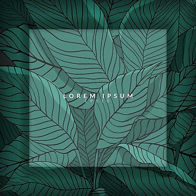 EPS 해외이미지 식물 무료이미지 디자인 꽃 결혼 백그라운드 잎 패턴 일러스트 자연 벽지 추상 수채화 아이디어 프레임 미술 그래픽 장식 초록색 여름 유행 우주 정원 봄 낭만 수확 흰색 인사 신선 플랫 인쇄 스케치 그림 질감 레이아웃 초대 층 내추럴 고립 구성 힙스터 카피스페이스 미니멀 해외202105 해외일러스트 계절 패션 컬러 컨셉 무늬 농업 문화예술 이벤트 공백 예절 생태계 파일형식 벡터 무료콘텐츠