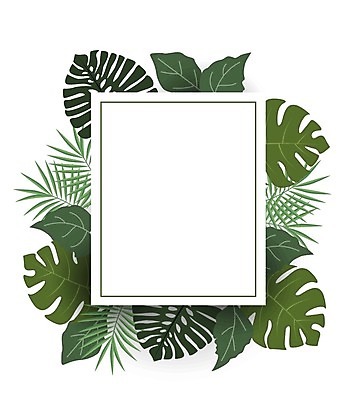 EPS 해외이미지 나무 식물 무료이미지 템플릿 디자인 계절 백그라운드 잎 꽃무늬 패턴 일러스트 자연 벽지 추상 휴가 프레임 손바닥 미술 그래픽 장식 초록색 여름 정원 봄 나뭇가지 신용카드 그림 유기농 원예 하와이 초대 비네팅 내추럴 고립 월계수 이국적 파라다이스 국경 해외202105 해외일러스트 손 웰빙 꽃 컬러 무늬 문화예술 촬영기법 취미 금융 미국 생태계 파일형식 벡터 무료콘텐츠