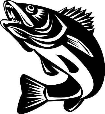 EPS 해외이미지 동물 무료이미지 야생동물 일러스트 흑백 어류 그래픽 점프 흰배경 복고 고립 민물 해외202105 해외일러스트 백그라운드 모션 촬영기법 수중동물 흰색 파일형식 벡터 무료콘텐츠