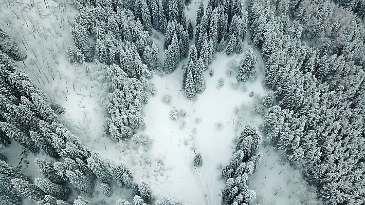 포토 JPG 해외이미지 나무 무료이미지 도로 여행 백그라운드 크리스마스 겨울 자국 자연 날씨 새해 산 안테나 풍경 사람없음 야외 냉동 추위 안개 가을 흰색 나뭇가지 소나무 정상 숲 언덕 서리 전나무 흐림 눈보라 드론 제설기 카자흐스탄 눈내림 가문비나무 해외202105 해외포토 식물 계절 기념일 아시아 길 컬러 통신 교통시설 눈_날씨 생태계 제설 파일형식