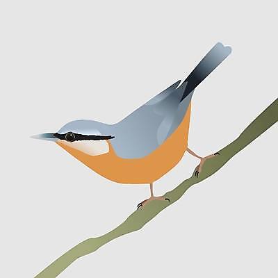 EPS 해외이미지 모양 동물 무료이미지 디자인 야생동물 바다 백그라운드 날개 일러스트 자연 조류 미술 그래픽 흰색 심볼 오브젝트 사인 그림 고립 엘리먼트 해외202105 해외일러스트 컬러 문화예술 생태계 파일형식 벡터 무료콘텐츠