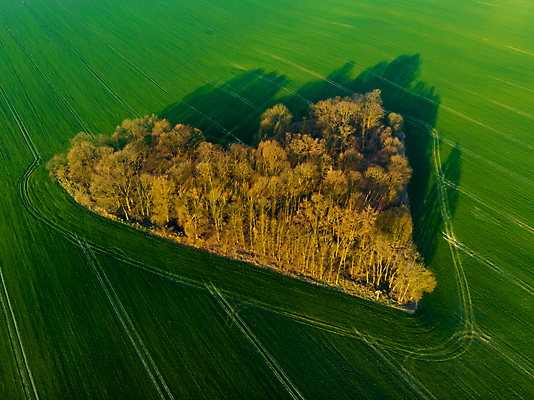 포토 JPG 해외이미지 모양 나무 식물 무료이미지 유럽 야생동물 여행 밭 농업 자연 아침 안테나 사랑 풍경 사람없음 초록색 컬러풀 태양 농장 일출 환경 하트 시골 폴란드 내추럴 드론 브로츠와프 조감도 해외202105 해외포토 주간 자연요소 동물 감정 나라 산업 컬러 통신 노을 생태계 파일형식 무료콘텐츠