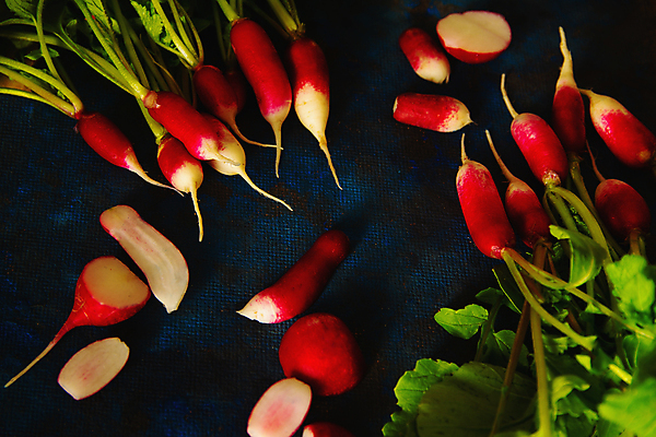 포토 JPG 해외이미지 식물 무료이미지 배너 음식 백그라운드 꽃무늬 농업 다이어트 채소 재료 자연 건강 사람없음 빨간색 초록색 파란색 컬러풀 정원 봄 활발 수확 벚꽃 시골 신선 그룹 우아함 다발 먹기 보따리 유기농 파란배경 머리위 성분 국산 내추럴 바이오 채식주의자 총각무 미니멀리스트 비건 해외202105 해외포토 웰빙 계절 꽃 산업 컬러 컨셉 무늬 모션 무 생태계 채식 파일형식