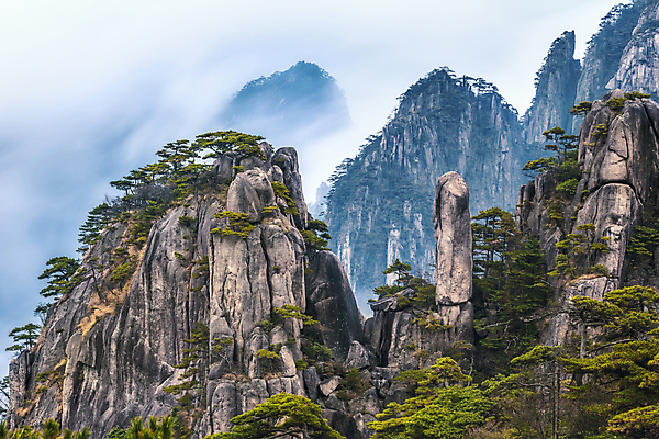 포토 JPG 해외이미지 구름 무료이미지 공원 아시아 문화 바다 여행 백그라운드 자연 하늘 바람 산 풍경 사람없음 야외 세계 노란색 중국 놀람 안개 바위 소나무 재산 숲 언덕 내추럴 명승지 전국 해외202105 황산 해외포토 자연요소 나무 공공시설 감정 나라 컬러 날씨 표정 금융 돌_바위 생태계 파일형식 무료콘텐츠