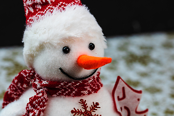 포토 JPG 해외이미지 나무 무료이미지 전통 디자인 계절 별 백그라운드 크리스마스장식 크리스마스 겨울 공 추상 휴가 새로움 선물 사람없음 장식 빨간색 초록색 빛 축제 장식볼 나뭇가지 축하 인사 신용카드 화려 활 질감 추수감사절 전나무 노엘 크리스마스배경 해외202105 해외포토 자연요소 식물 기념일 기독교 컬러 컨셉 무늬 금융 예절 파일형식