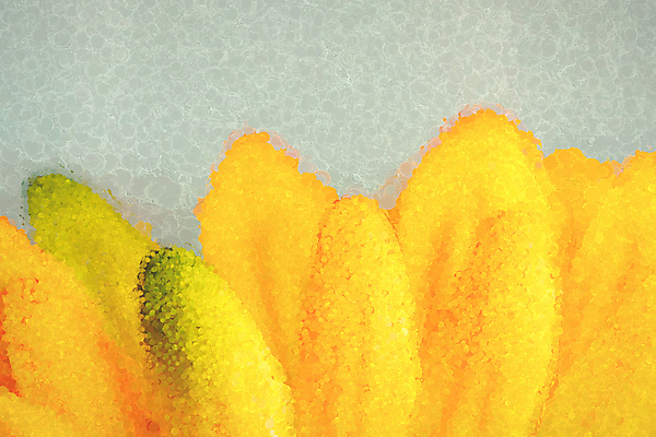 포토 JPG 해외이미지 무료이미지 디자인 옷 백그라운드 패턴 표면 추상 프레임 사람없음 빨간색 파란색 갈색 노란색 유행 우주 공백 직물 면 거친 천 삼베 묘사 유기농 질감 복고 캔버스 섬유 시들음 짜임 내추럴 아마 엘리먼트 엮은 옛날 잔물결 접기 필터 해외202105 해외포토 웰빙 꽃 물결 컬러 무늬 모션 파일형식 천_직물 무료콘텐츠