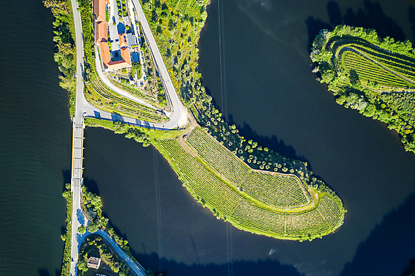 포토 JPG 해외이미지 나무 무료이미지 공원 유럽 여행 농업 자연 포도 안테나 파노라마 숙이기 풍경 사람없음 야외 초록색 물 강 컬러풀 마을 와인 계곡 강가 포르투갈 언덕 포도나무 내추럴 도루강 드론 해외202105 해외포토 자연요소 식물 공공시설 나라 산업 컬러 포즈 과일 통신 주류 촬영기법 과일나무 생태계 파일형식
