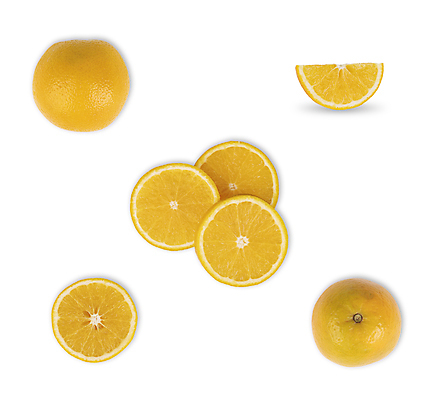 포토 JPG 해외이미지 무료이미지 음식 백그라운드 농업 다이어트 오렌지 과일 자연 탁자 귤 건강 사람없음 노란색 흰색 신선 달콤 맛 자르기 상쾌 유기농 날것 내추럴 고립 채식주의자 해외202105 해외포토 웰빙 감정 산업 컬러 가구 컨셉 모션 생태계 채식 파일형식