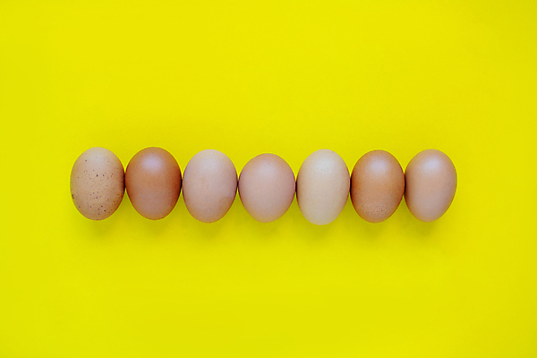 포토 JPG 해외이미지 무료이미지 음식 백그라운드 농업 다이어트 가방 재료 부활절 건강 요리 사람없음 목재 가로 농장 갈색 주방 계란 치킨 껍질 시골 신선 오픈 아침식사 유기농 날것 흙더미 건강식 내추럴 점심식사 단백질 카피스페이스 해외202105 해외포토 나무 웰빙 잡화 기념일 산업 컬러 알 식사 흙 공백 닭고기요리 영양소 파일형식 더미