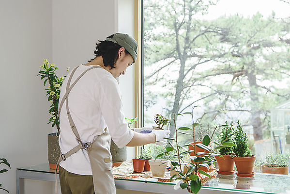 포토 JPG 남자 화분 화초 맨라이프 창문 실내 한명 들기 상반신 성인 취미 뒷모습 30대 앞치마 한국인 분갈이 싱글라이프 성인남자한명만 홈가드닝 반려식물 국내포토 식물 1 라이프스타일 뷰포인트 모션 사람 동양인 내부 장년 원예 남자한명만 성인남자만 파일형식
