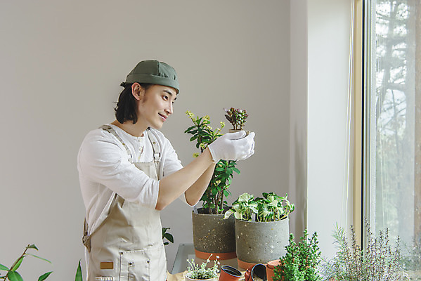 포토 JPG 응시 남자 화분 화초 맨라이프 실내 한명 미소 들기 상반신 성인 취미 옆모습 30대 앞치마 한국인 싱글라이프 성인남자한명만 홈가드닝 반려식물 국내포토 식물 1 라이프스타일 시선 뷰포인트 모션 표정 사람 동양인 내부 장년 원예 남자한명만 성인남자만 파일형식