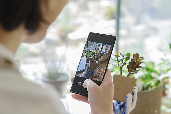 포토 JPG 남자 화분 화초 맨라이프 실내 한명 들기 상반신 성인 취미 뒷모습 아웃포커스 30대 스마트폰 사진촬영 한국인 소프트포커스 싱글라이프 성인남자한명만 홈가드닝 반려식물 국내포토 식물 1 라이프스타일 뷰포인트 모션 촬영기법 사람 동양인 내부 장년 핸드폰 스마트기기 촬영 원예 남자한명만 성인남자만 파일형식