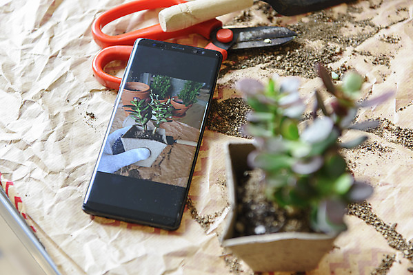 포토 JPG 화분 화초 실내 들기 취미 사람없음 스마트폰 소프트포커스 화초가위 홈가드닝 반려식물 국내포토 식물 모션 가위_도구 촬영기법 내부 핸드폰 스마트기기 원예 파일형식