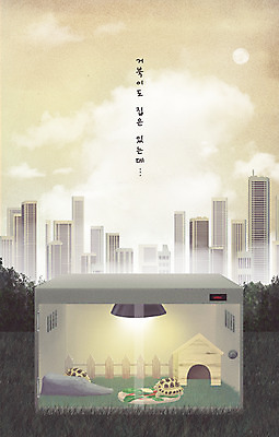 PSD 구름 두마리 일러스트 부동산 조명 사람없음 건물 도시 거북이 먹이 사회이슈 내집마련 나무집 국내일러스트 자연요소 건축물 컨셉 2 파충류 주택 재산 파일형식