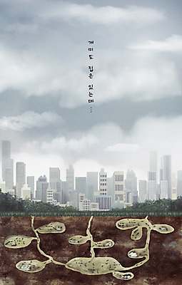 PSD 구름 일러스트 부동산 잔디 사람없음 건물 도시 사회이슈 내집마련 개미 땅굴 땅속 국내일러스트 자연요소 식물 건축물 곤충 컨셉 재산 파일형식