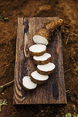 포토 JPG 주간 단면 사람없음 야외 흙 경상북도 특산물 슬라이스 나무도마 마 안동 국내포토 자연요소 채소 도마 목재 경상도 파일형식