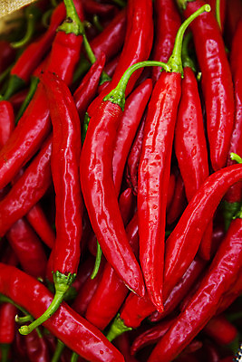 포토 JPG 근접촬영 사람없음 하이앵글 경상북도 특산물 홍고추 국내포토 영양군 뷰포인트 고추 경상도 파일형식