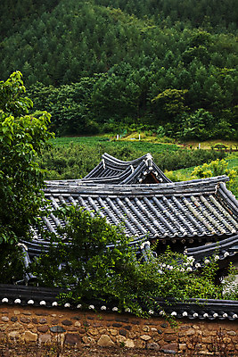 포토 JPG 주간 풍경 사람없음 야외 숲 경상북도 기와지붕 기와담장 국내포토 영양군 자연요소 지붕 기와 담장 경상도 파일형식