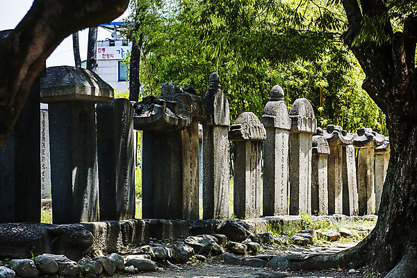 포토 JPG 주간 나무 사람없음 야외 전라북도 비석 광한루 남원 국내포토 자연요소 식물 전라도 파일형식