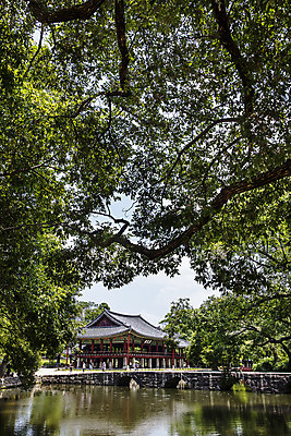 포토 JPG 주간 나무 고건축 사람없음 야외 연못 전라북도 돌다리 광한루 남원 국내포토 자연요소 식물 건축물 다리_건축물 전라도 파일형식